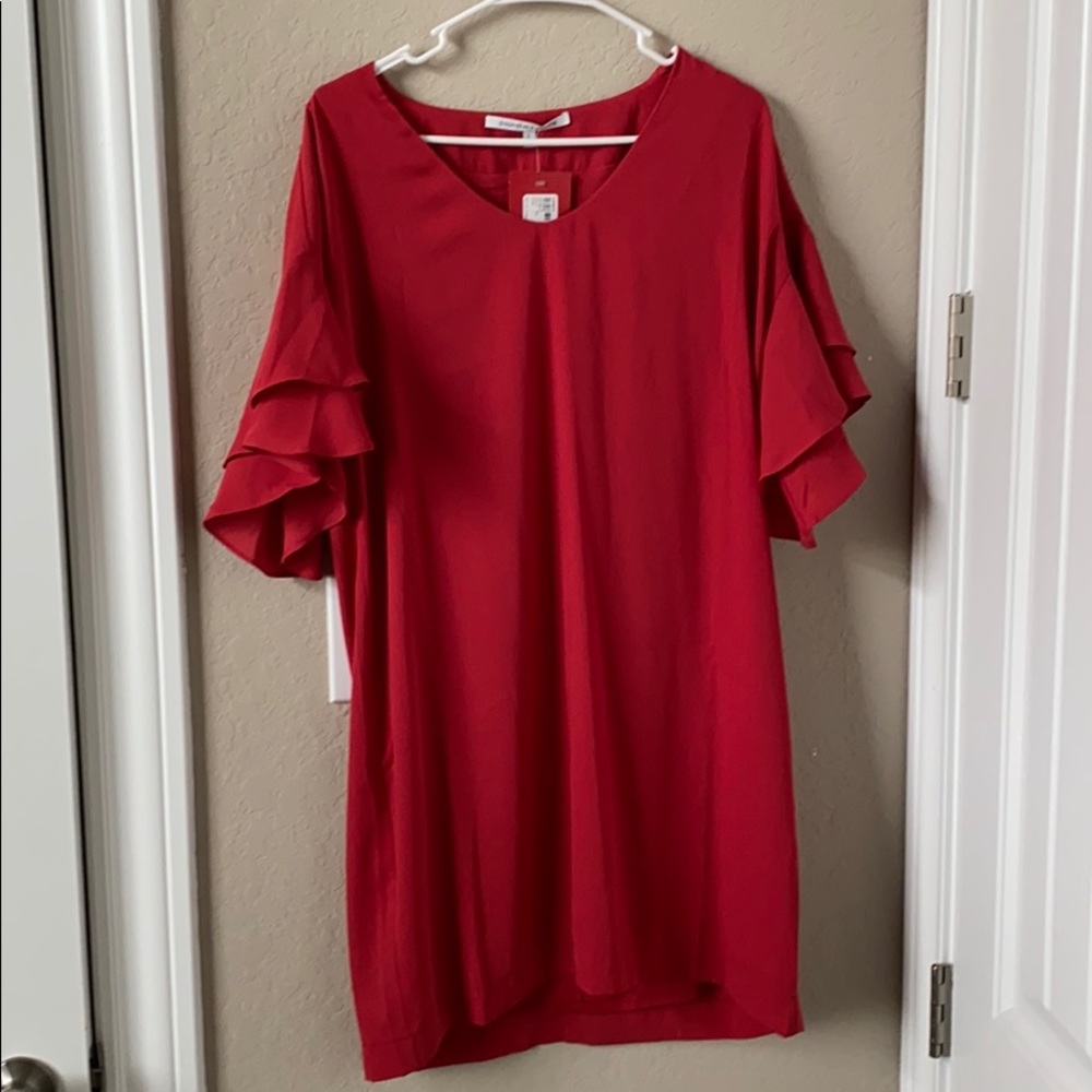 Dress Ruffled Sleeve Dress!